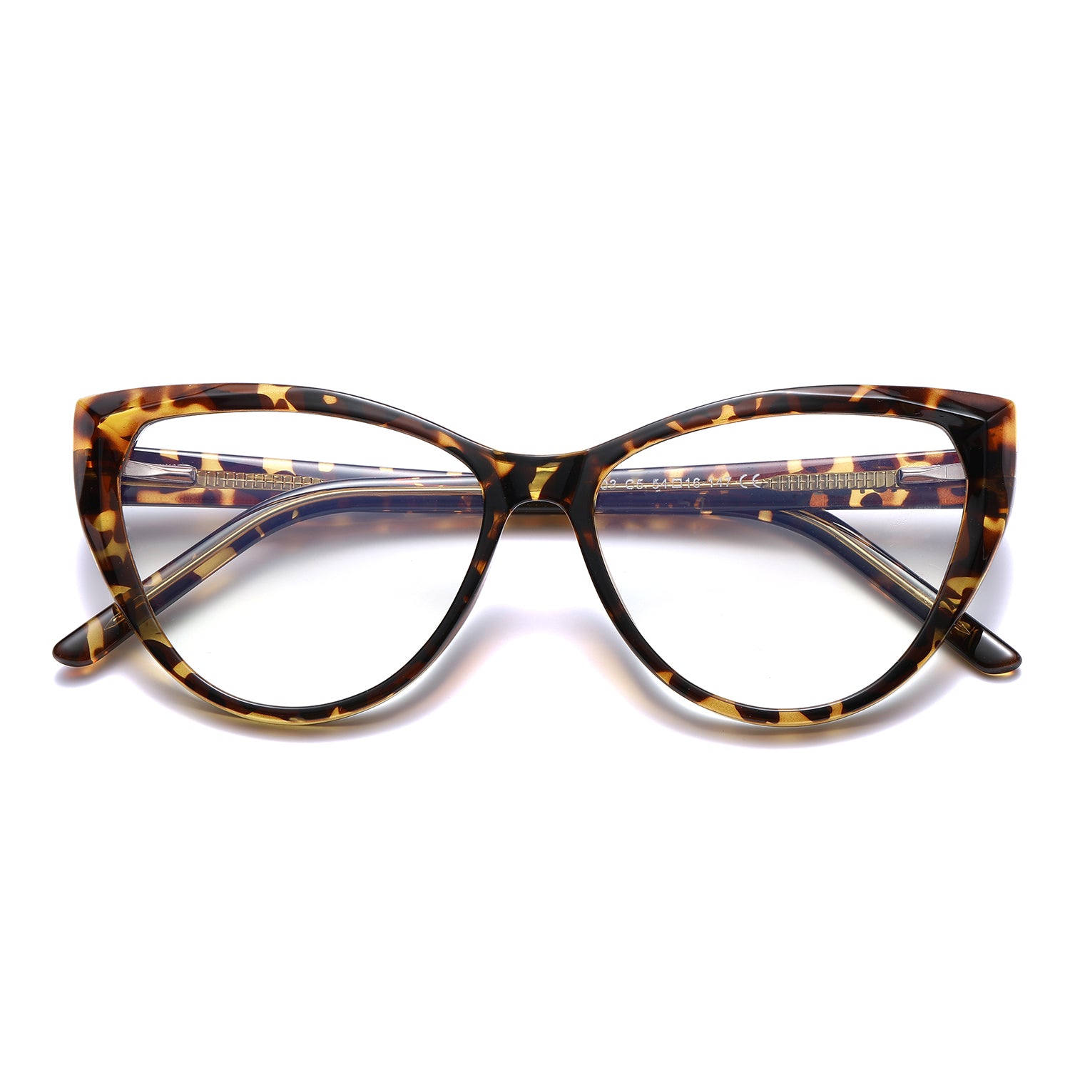 CAPE TOWN - TARTARUGA